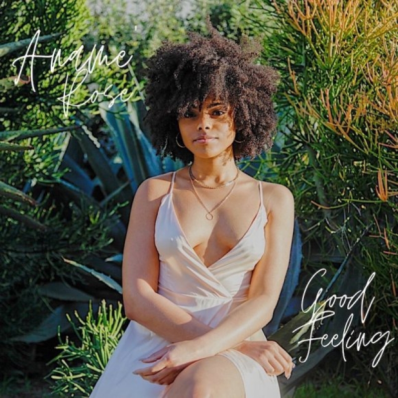 Aname Rose - Good Feeling